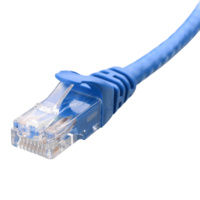 Cat6 UTP 0.5m Ethernet Cable