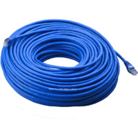 Cat6 SFTP 30m Ethernet Cable - ESD Shielded RJ45