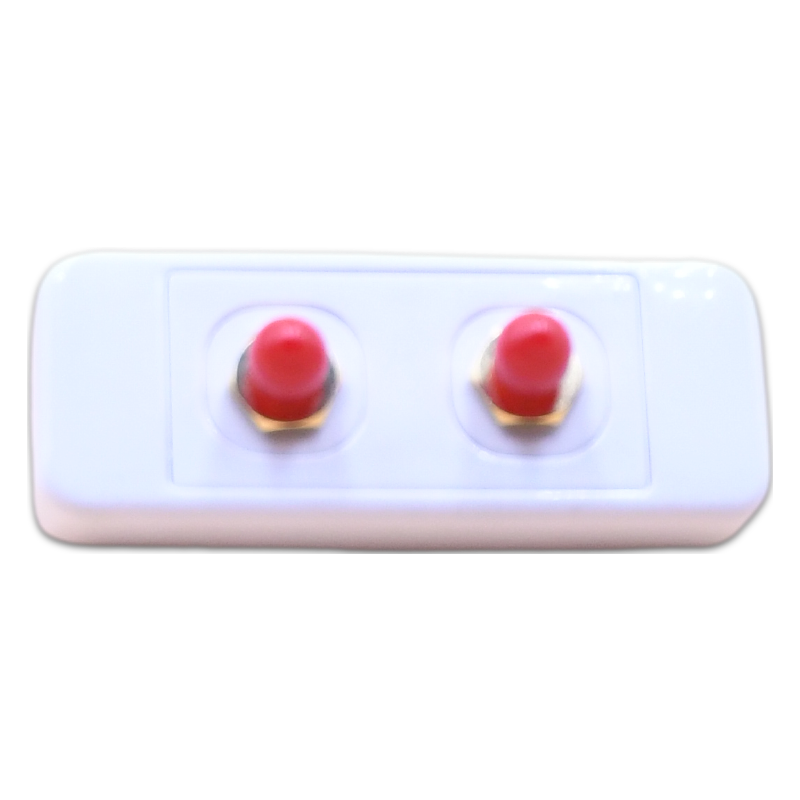 Dual SMA Wall Plate for Caravan