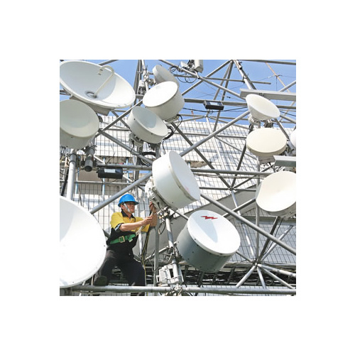 Installation Services - Microwave Rigging